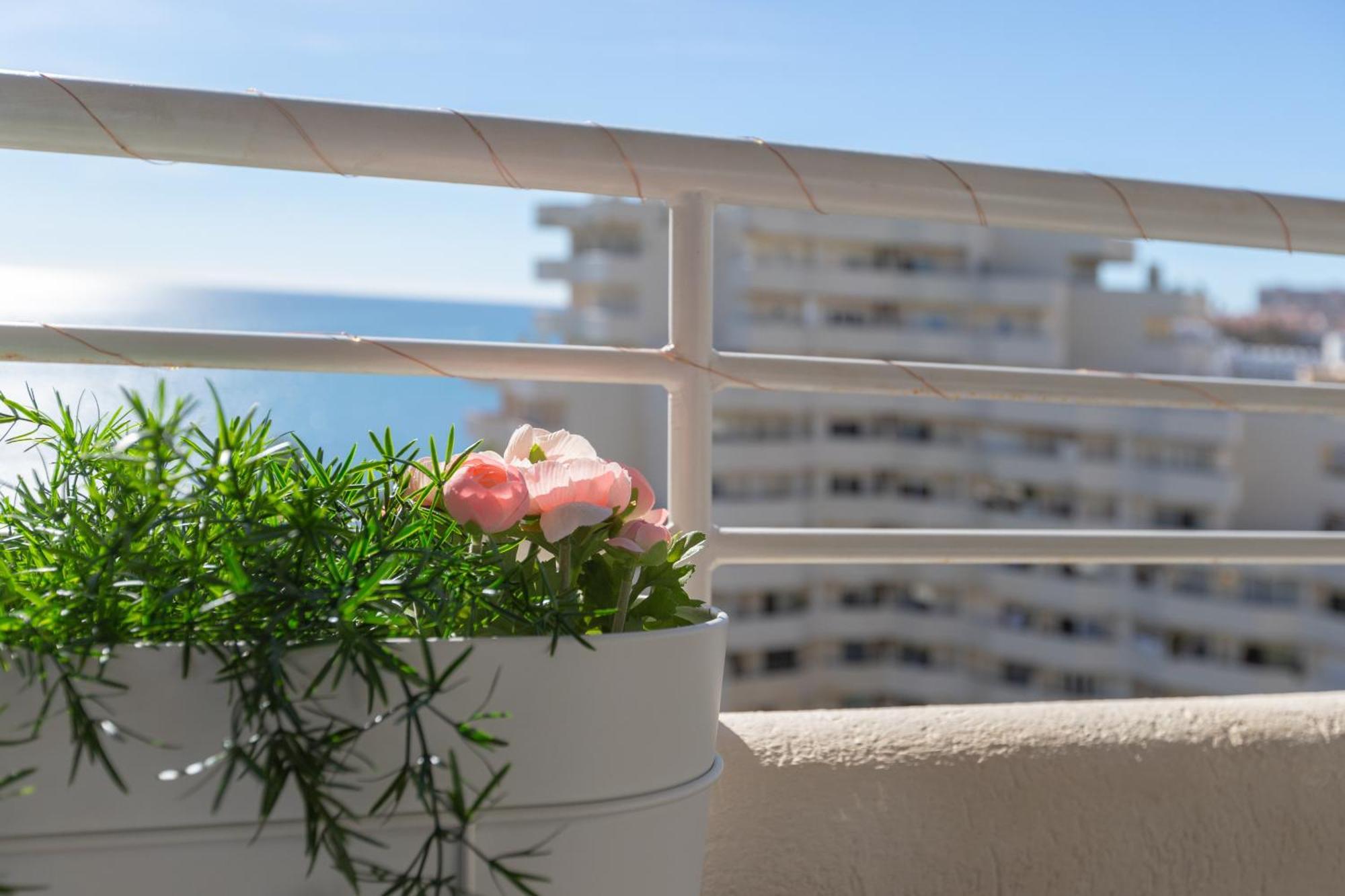 Apartamento Costa Del Sol بينالماذينا المظهر الخارجي الصورة